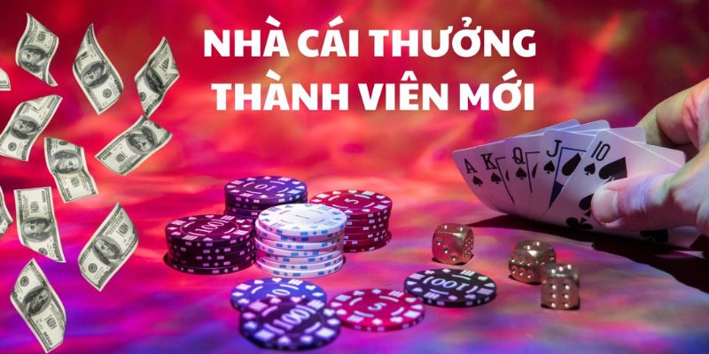 Top Nhà Cái Khuyến Mãi